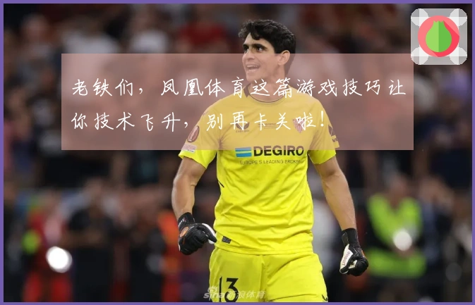 老铁们，凤凰体育这篇游戏技巧让你技术飞升，别再卡关啦！