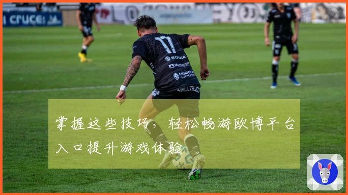 掌握这些技巧，轻松畅游欧博平台入口提升游戏体验