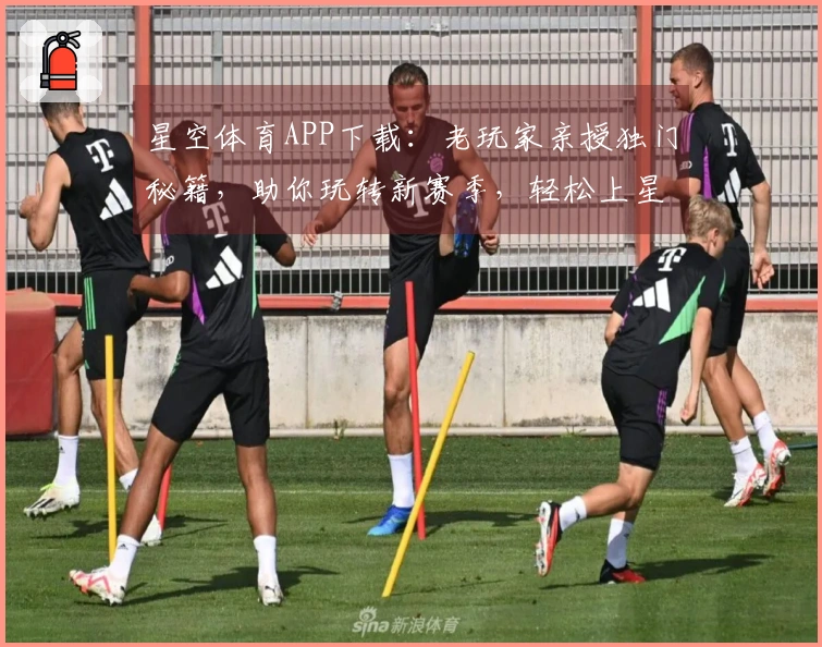 星空体育APP下载：老玩家亲授独门秘籍，助你玩转新赛季，轻松上星！